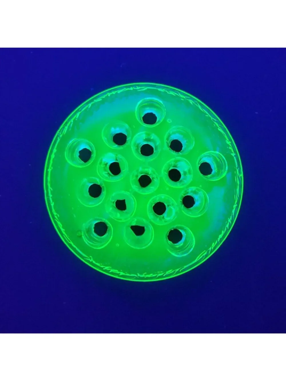Antique Green Uranium Depression Vaseline Glass Flower Frog 16-Hole Glows c. 190